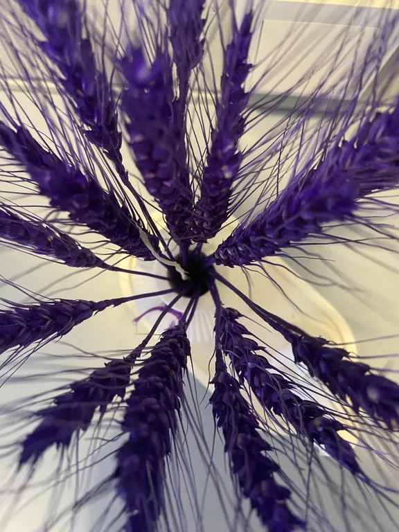 Дом для отдыха в Суздале