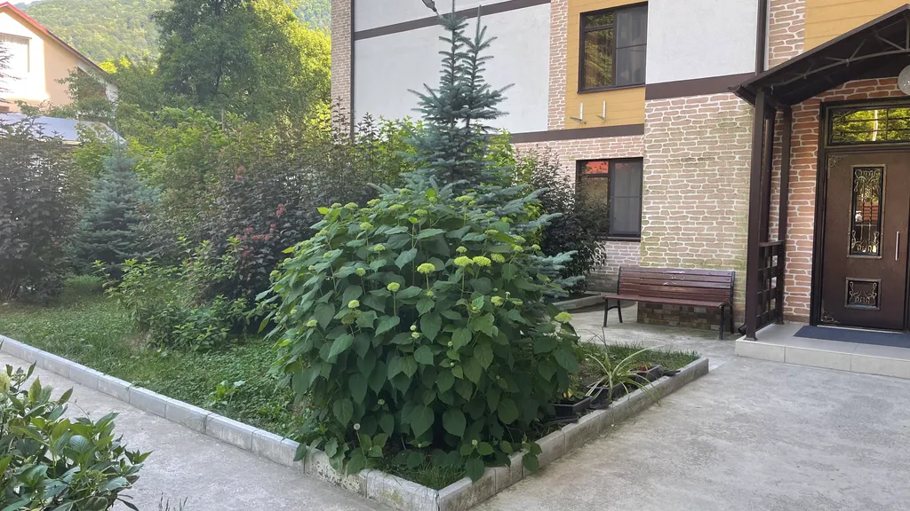 Шикарный вид на озеро и горы