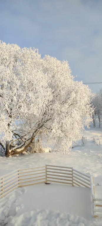 Коттедж Домик около Красного села с видом на поле и лошадок — Санкт-Петербург