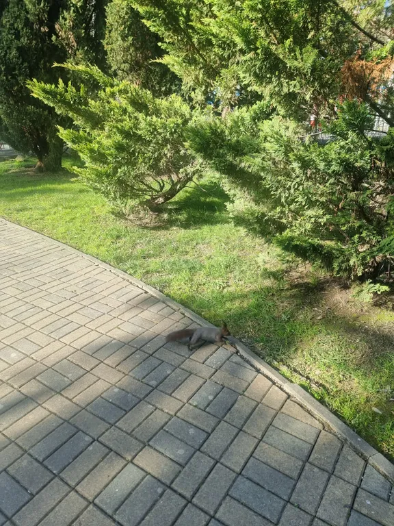 Квартира Квартира Студия у моря 452 — Сочи