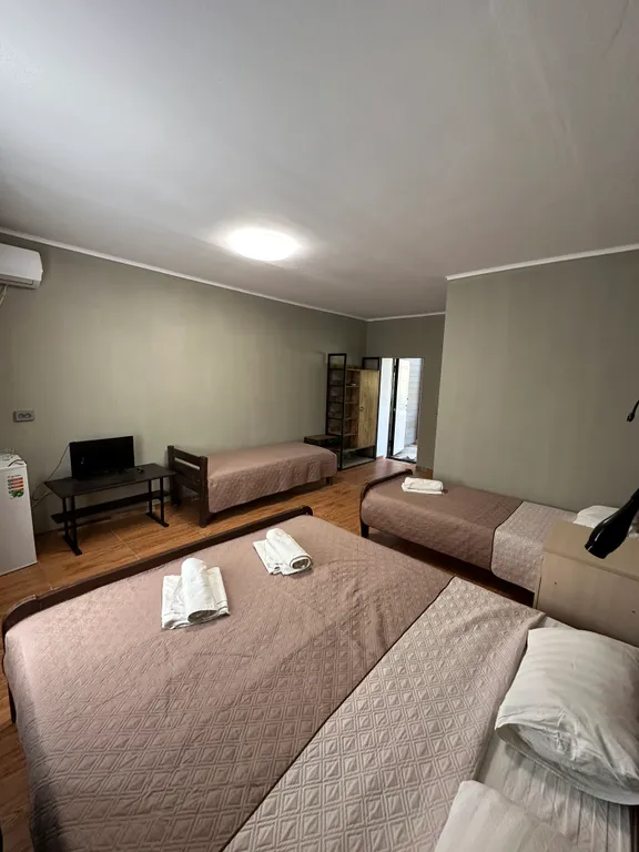 Семейный номер фисташковый