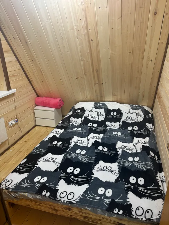 Гостевой домик Починки