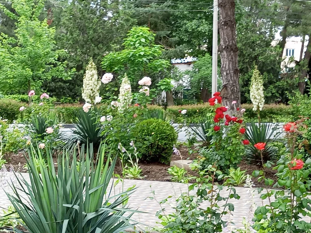 Квартира Апартаменты  у моря — Анапа