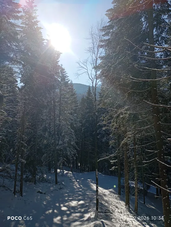 Коттедж Коттедж Logovo resort — Архыз