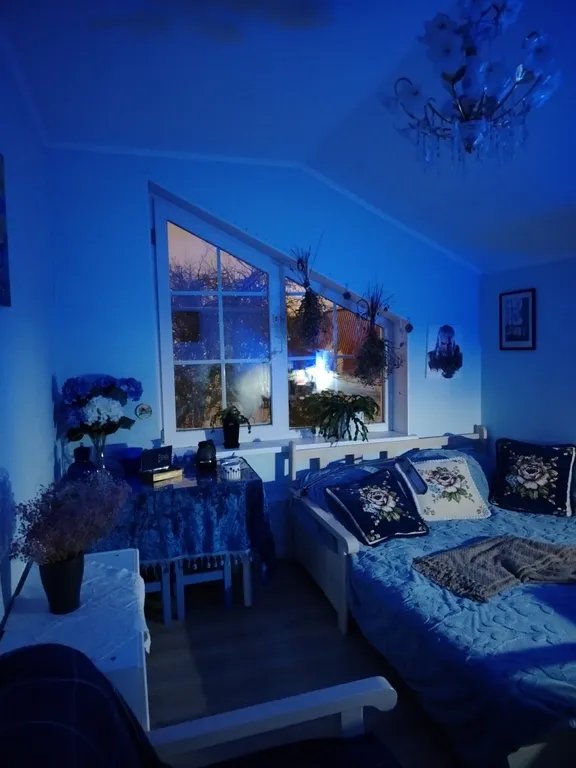 Уединенная часть дома с садом и барбекю