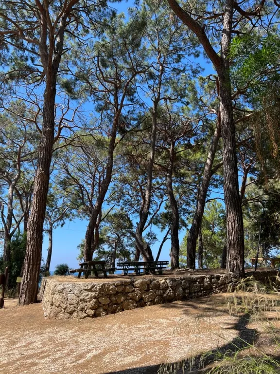 Новая квартира в Авсалларе