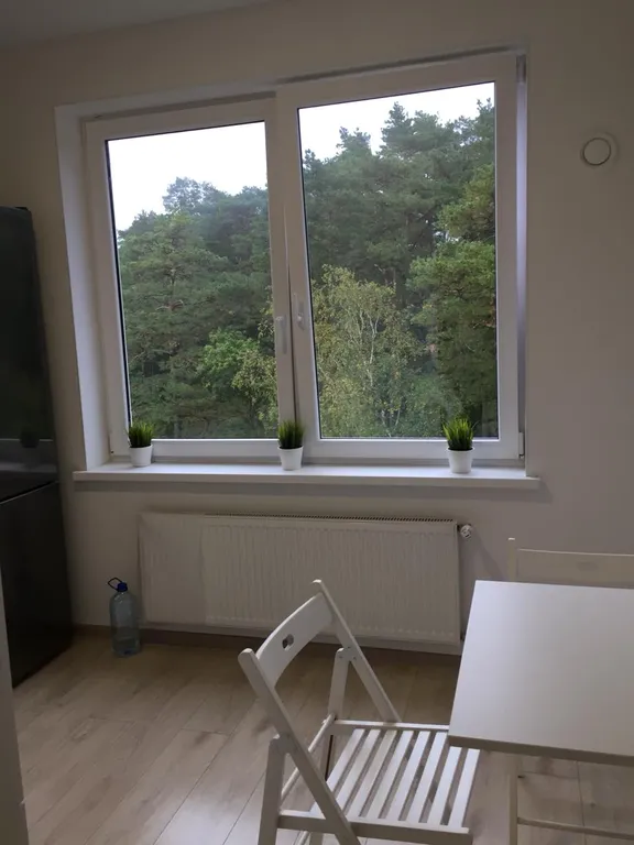 Квартира Квартира Апартамент у озера и леса — Светлогорск