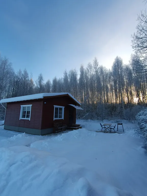 Коттедж Дом у леса — аренда посуточно в Печоры
