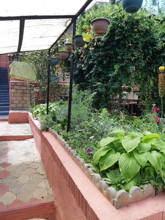 Любимый дворик