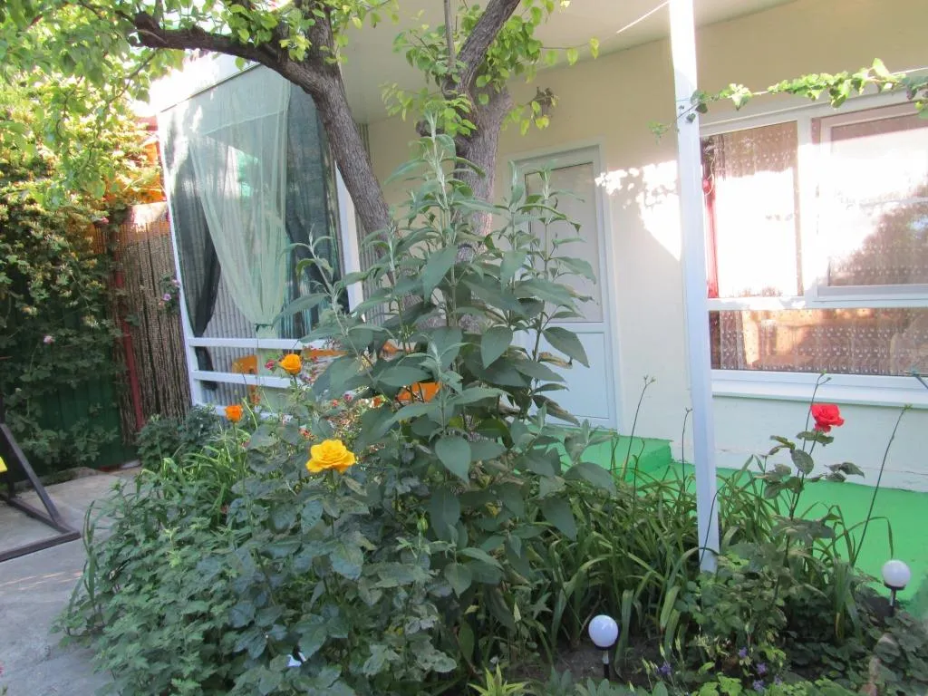 Квартира Квартира Уютная студия с собственной террасой для отдыха — Ейск