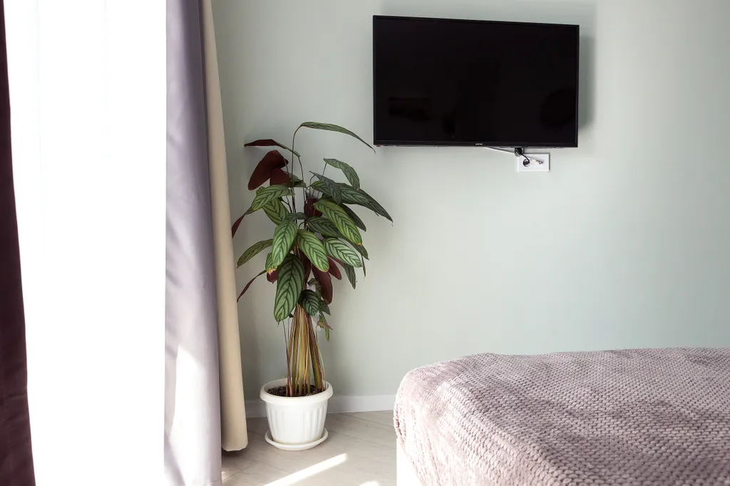 Студия в историческом центре