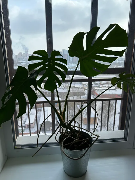 Уютная квартира рядом с центром города