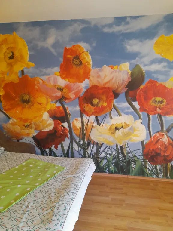 Квартира Комната — аренда посуточно в Новомихайловский