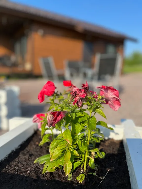 Новый современный коттедж рядом с озером