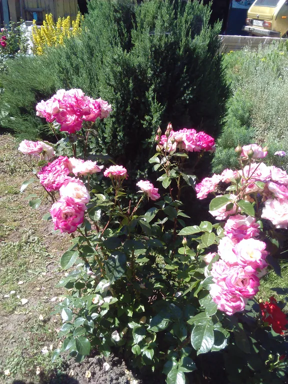 Деревенский дом на реке Оке рядом с родиной Есенина