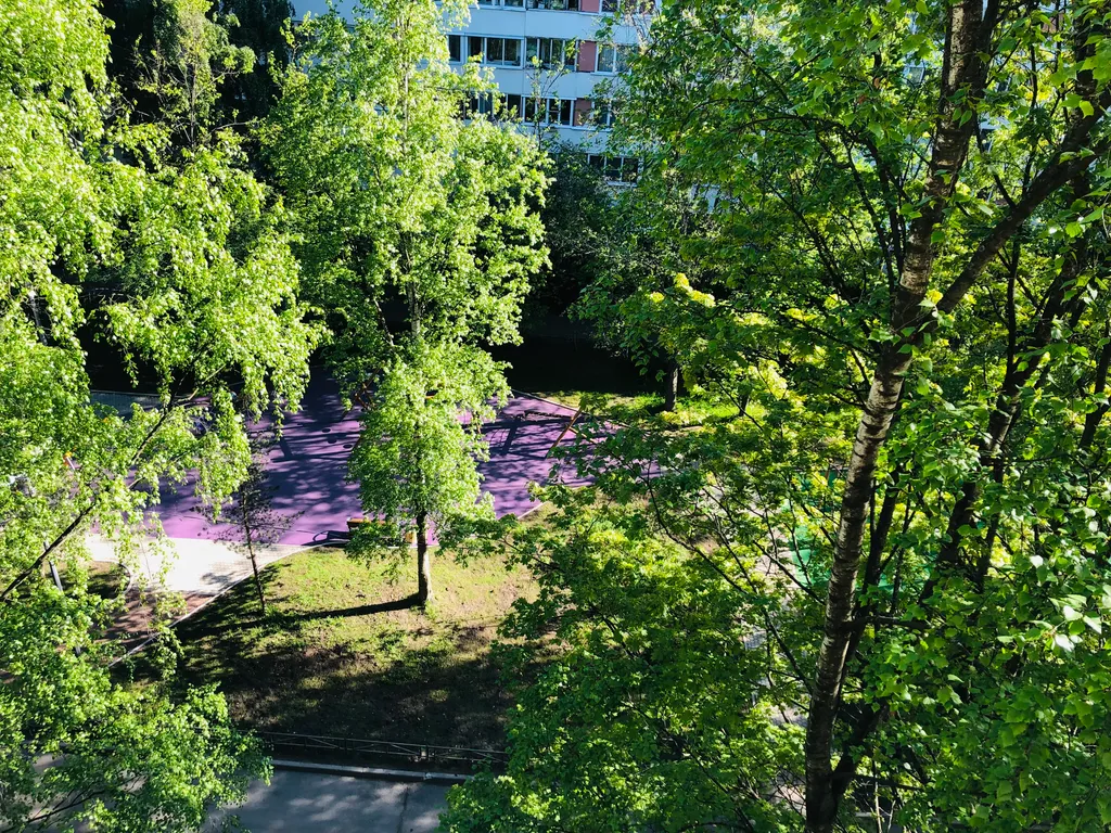 Квартира Уютная квартира у метро Озерки — Санкт-Петербург