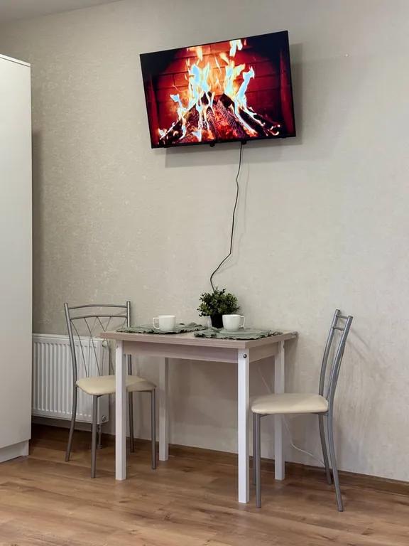 Просторная квартира-студия в центре