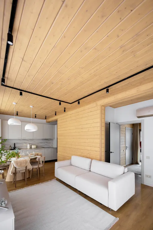 Загородный дом рядом с Сорочанами