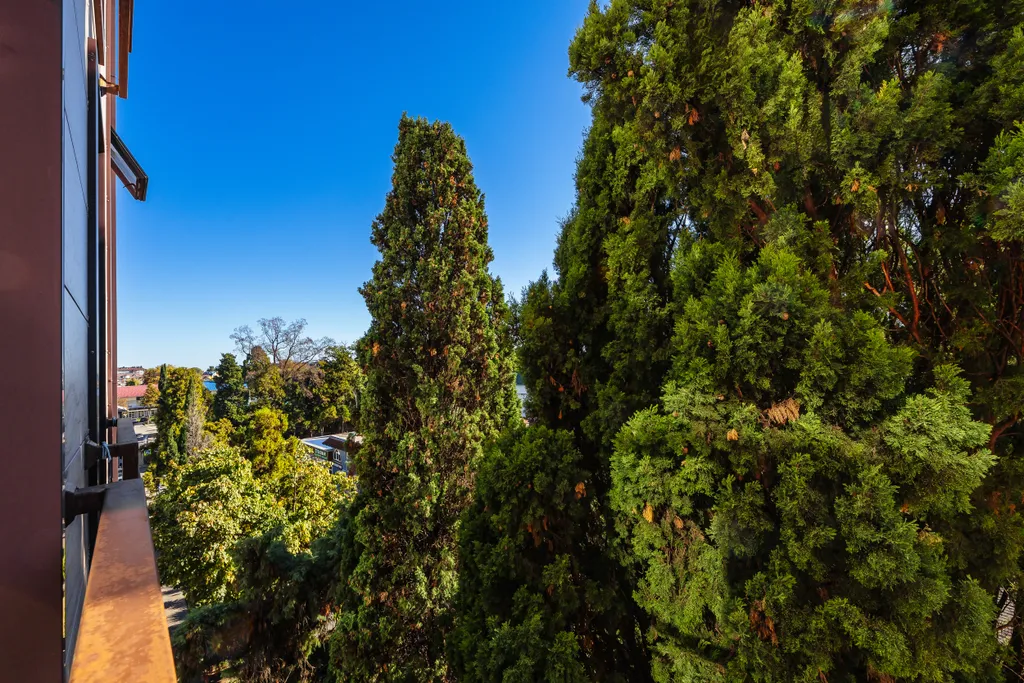 Квартира Квартира Светлая и уютная студия в центральной части Адлера у моря — Адлер