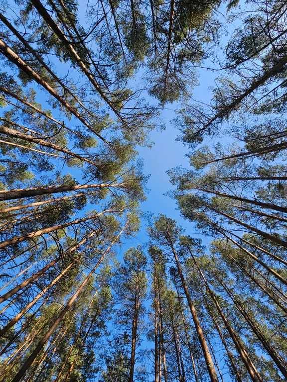 Апартамент на территории санатория Альфа-Радон