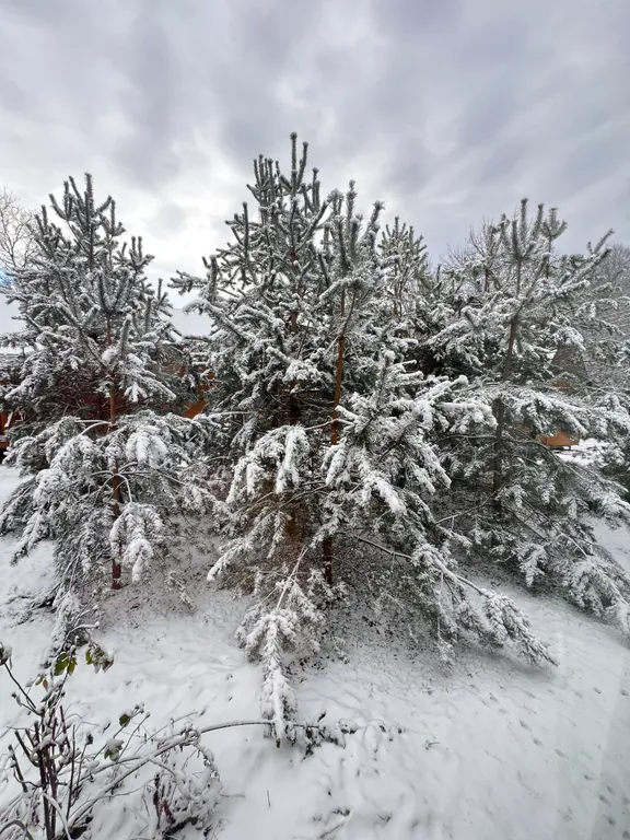 Двухкомнатный домик с видом на озеро