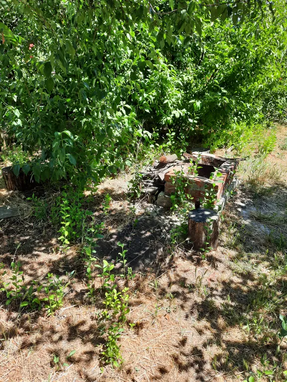 Домик на берегу Таганрогского залива