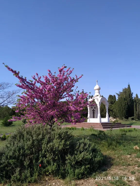 Уютная студия у моря в парке Победы