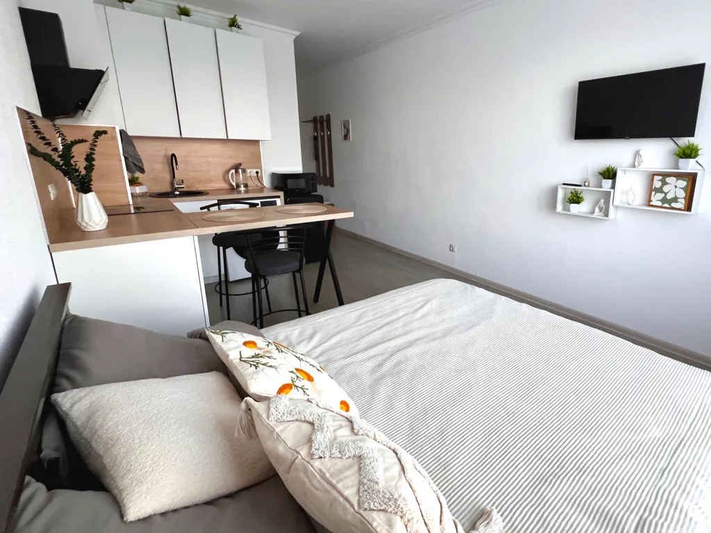 Уютная студия с удобным выездом на трассу М10