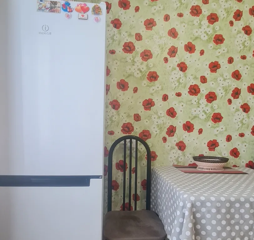 Квартира в центре города, с бесконтактным заселением