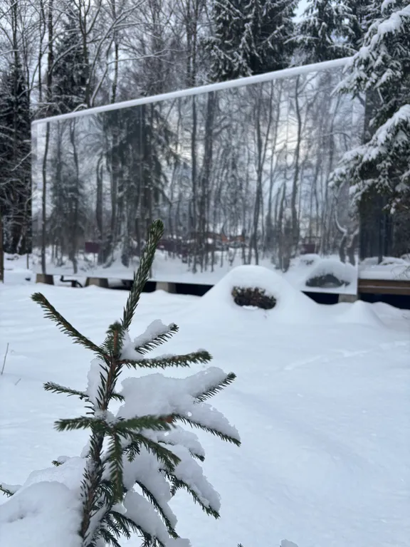 Коттедж Уникальный зеркальный дом — Александров