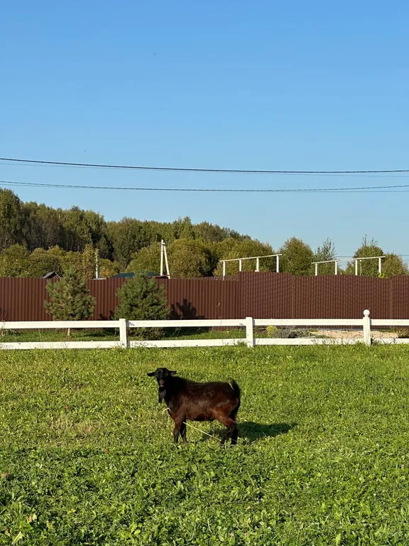 Уютный загородный дом