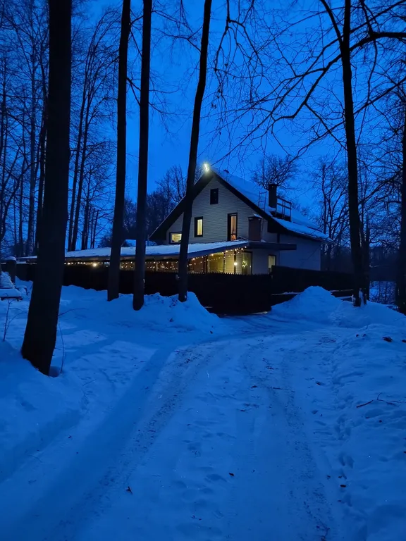 Дом в лесу у залива