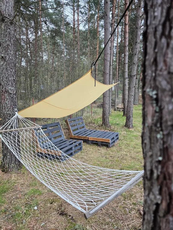 Домик в сосновом лесу