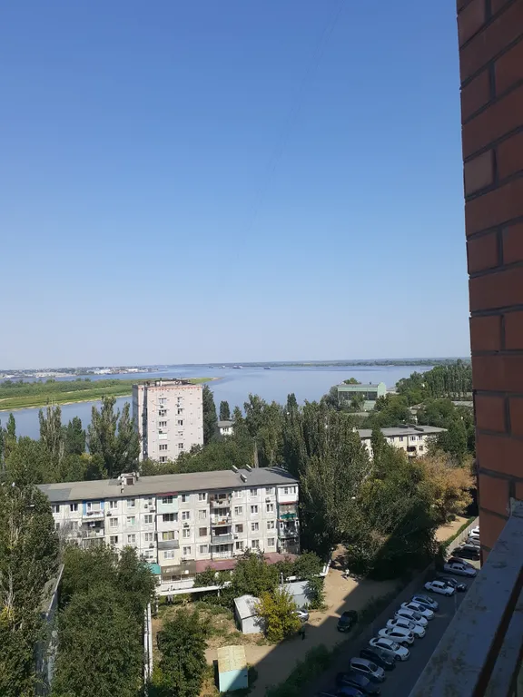 Квартира "тигрица"