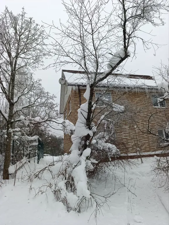 Светлый дом