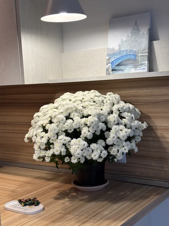 Квартира Квартира Premium Family Apart — Санкт-Петербург