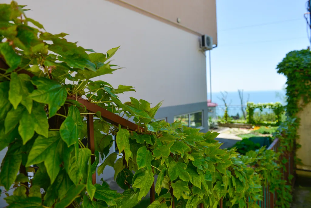 Отличная студия с панорамным видом на море