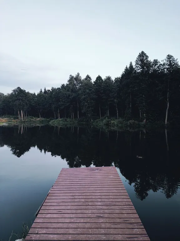 Новый стильный дом в окружении леса