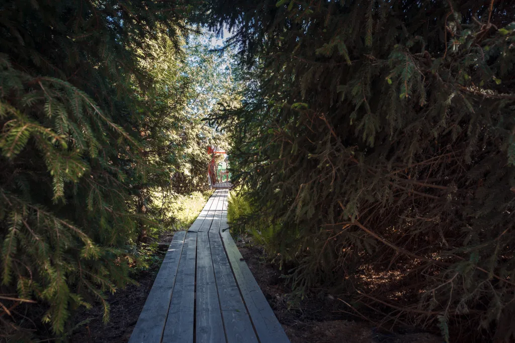 Домик хоббитов