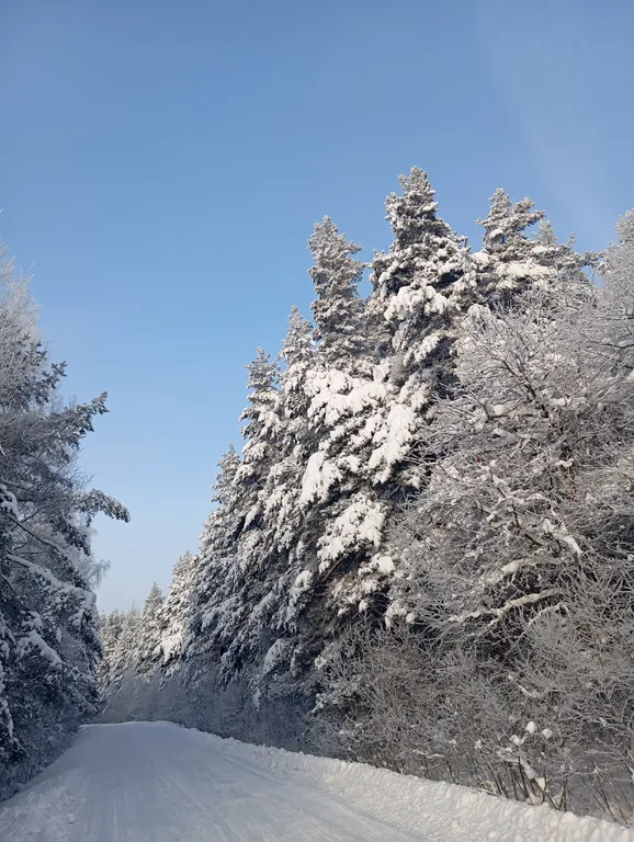 Домик с видом на затопленную колокольню