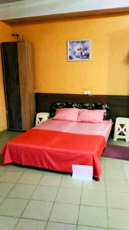 Студия с террасой