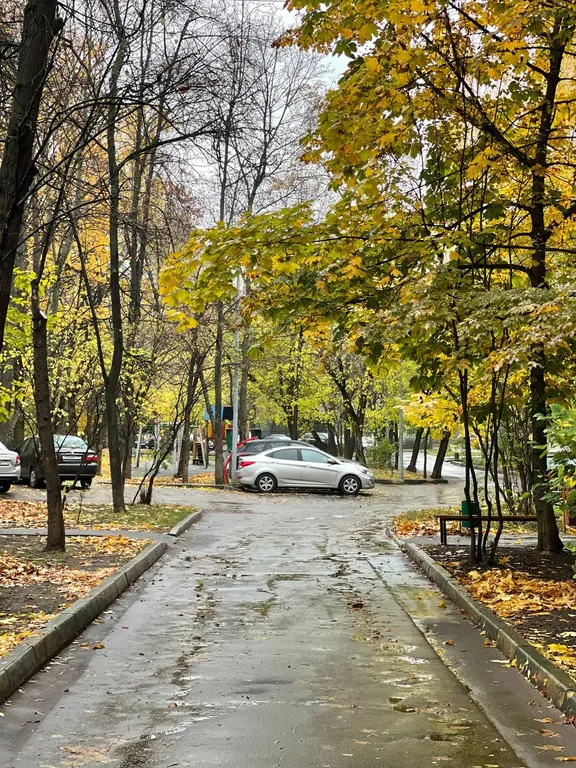 Квартира с домашней атмосферой