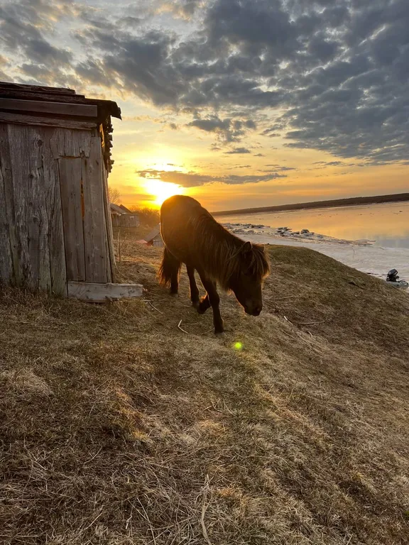 Уютный чистый дом с верандой на берегу реки Варзуга