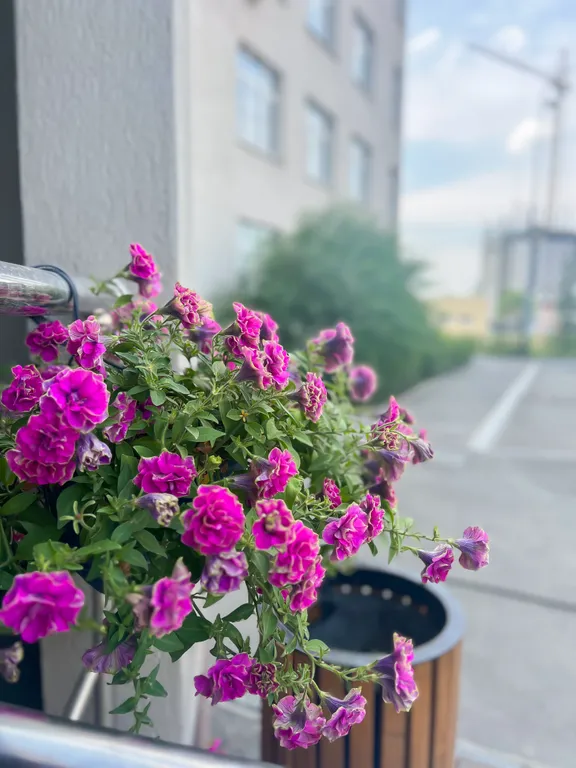 Студия для двоих в центре города