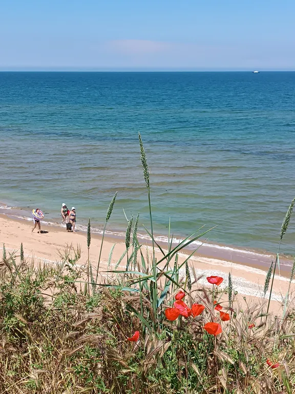 Коттедж Дом из бруса на участке 6 соток — Кучугуры