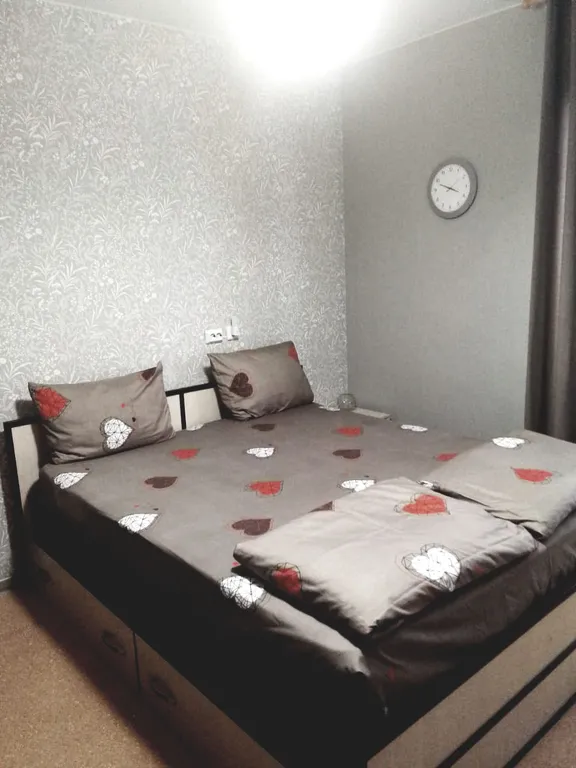 Квартира Апартаменты по пути на юг и обратно — аренда посуточно в Отрадное