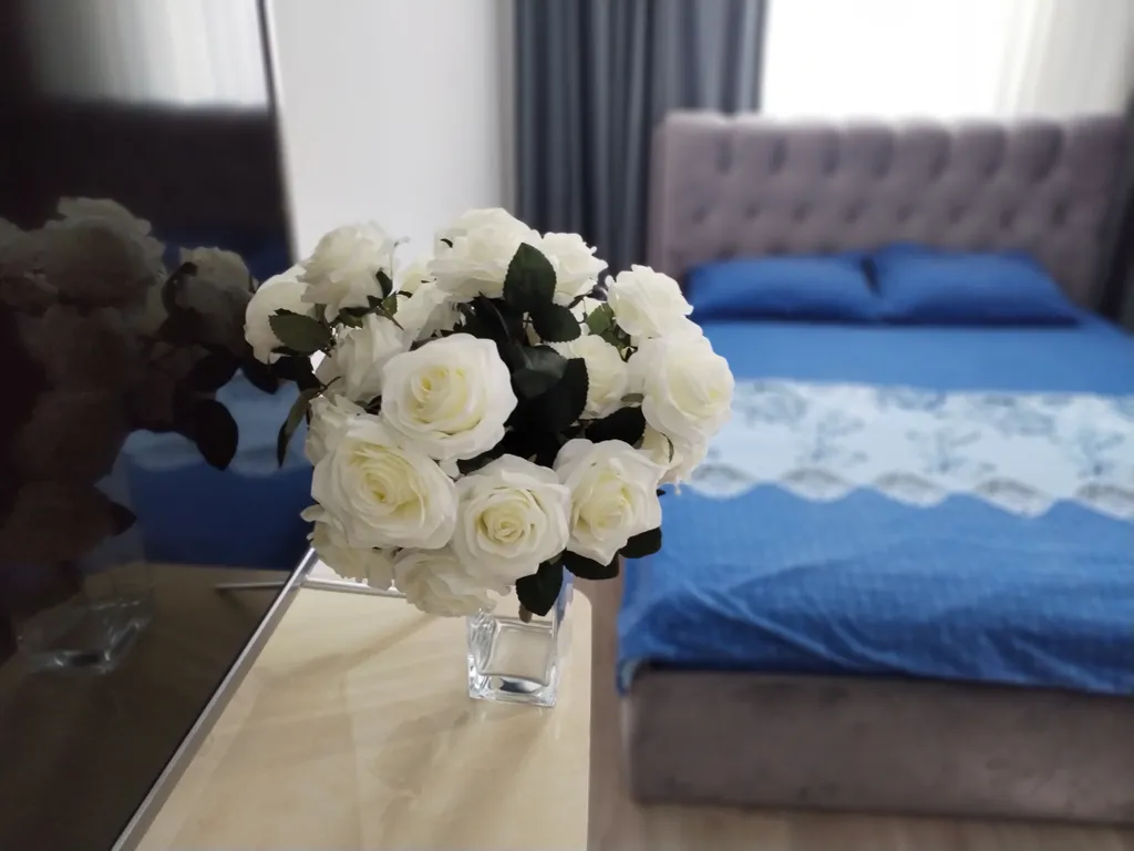 Центр Цветник Радон 2 ка пр. Кирова 47а