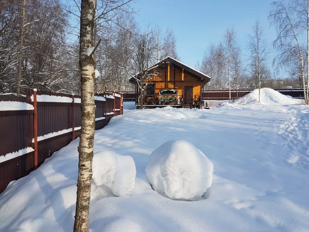 Коттедж Дом с камином, баней-сауной на дровах и купелью — Светлое