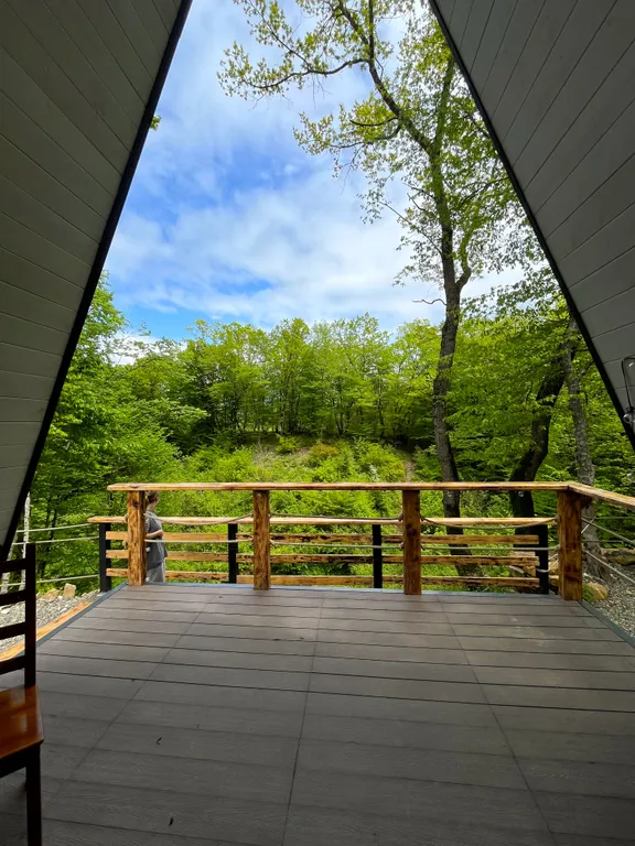 Афрейм на опушке леса с бассейном