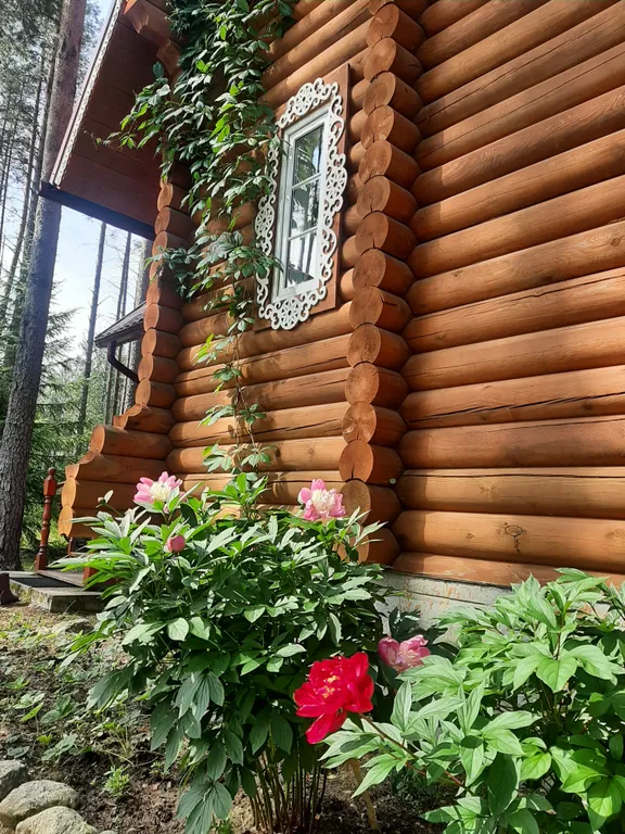 Уютный коттедж у озера